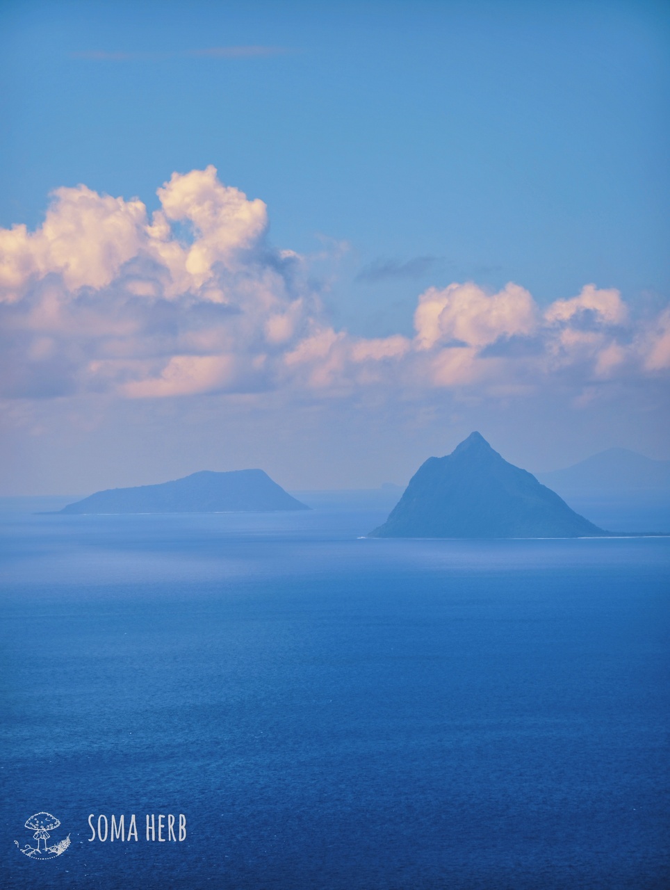 Green Flow – Instant Kava (Vanuatu) 250 g